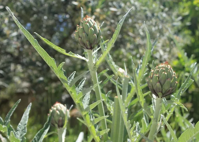 Daire With A Parking Space Hvar - 4004 Hvar Town