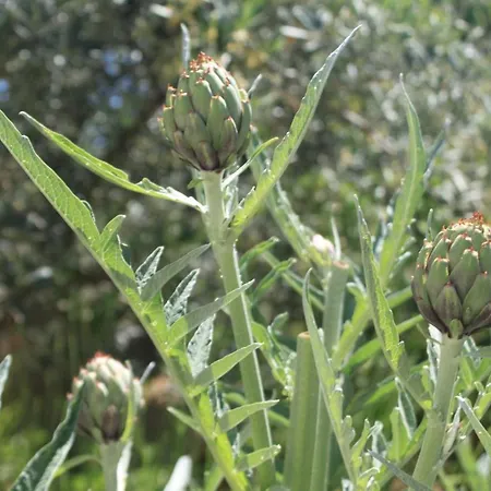 Апартаменти With A Parking Space Hvar - 4004 Хвар