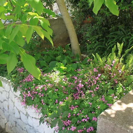 アパート With A Parking Space Hvar - 4004 フヴァル